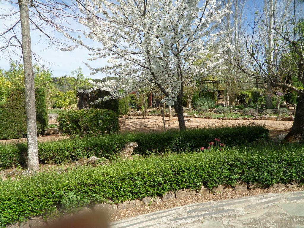 Monte Da Fornalha Bed & Breakfast Borba Exterior photo